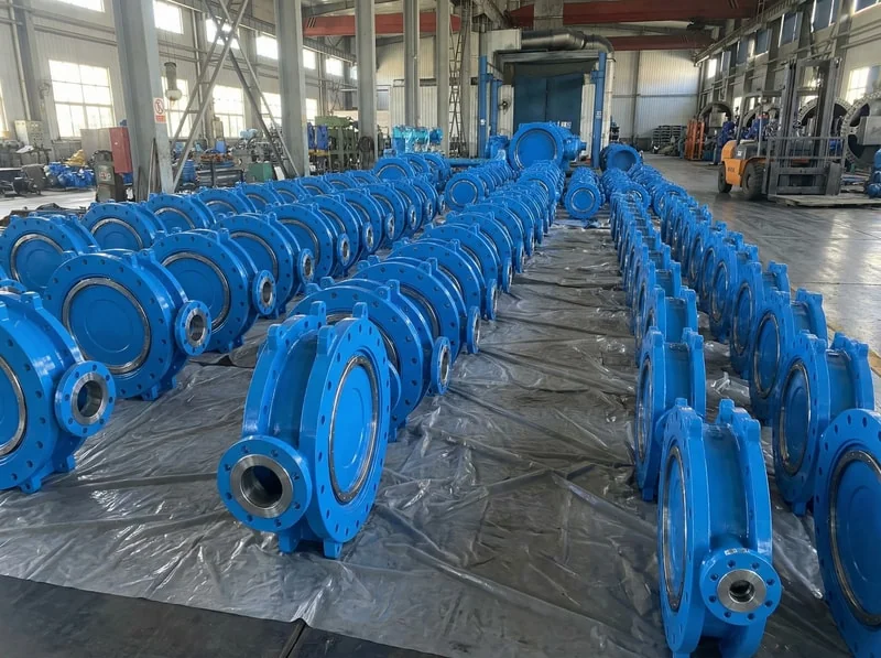 Butterfly valves supplied for municipal water treatment plant project