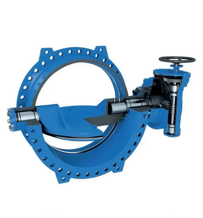 Double eccentric butterfly valve cutaway showing internal sealing structure and shaft assembly