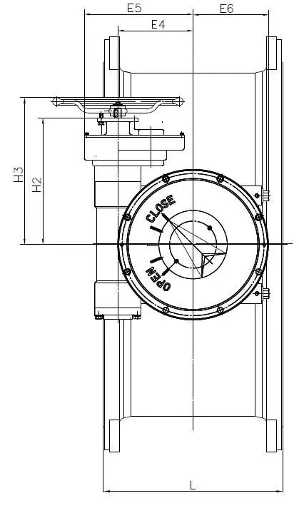 Double eccentric butterfly valve structure - exploded view showing first and second offset shaft positions