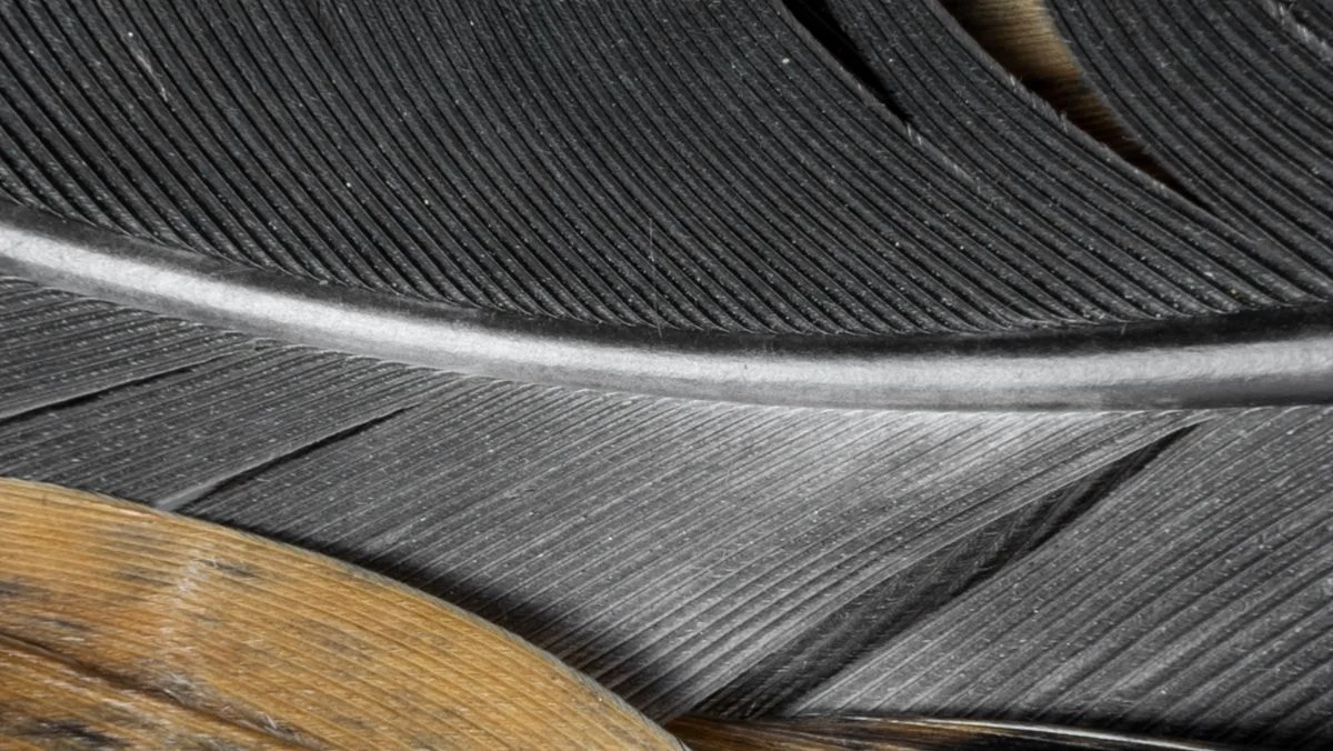 Ebonite rubber lined butterfly valve for seawater and chemical applications
