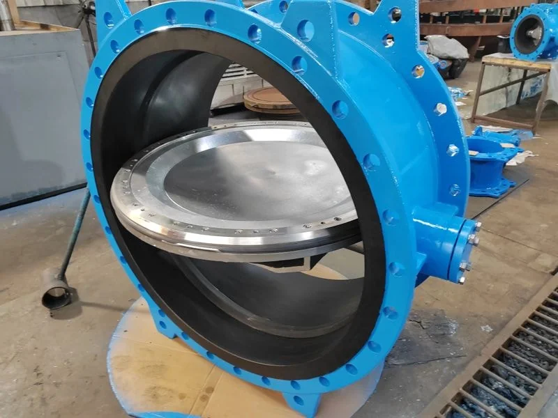 Rubber lined butterfly valve overview showing internal ebonite lining and disc assembly